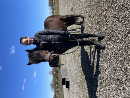 Turridning, lej en hest, ridetur, ridning, heste, islænderridning, ride, islænder
