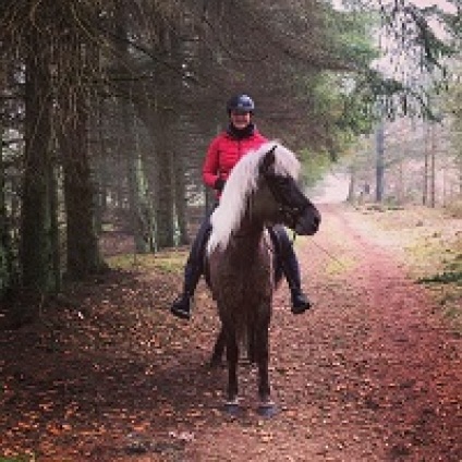 Turridning, lej en hest, ridetur, ridning, heste, islænderridning, ride, islænder