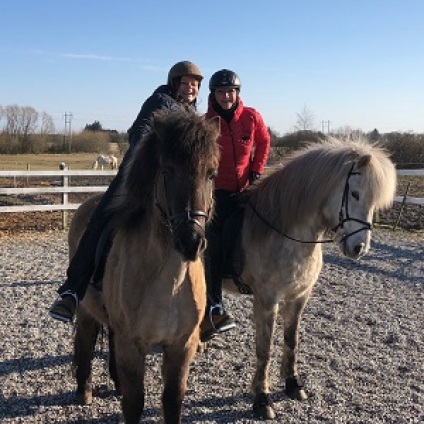 Turridning, lej en hest, ridetur, ridning, heste, islænderridning, ride, islænder