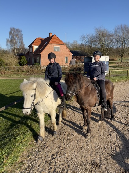 Turridning, lej en hest, ridetur, ridning, heste, islænderridning, ride, islænder