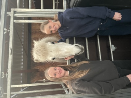 Stald Saga, turridning Midtjylland, lej en hest, rideture i Herning, Islænder ridning, ridetur i skoven,
